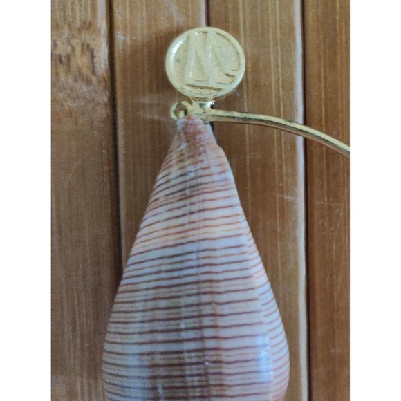 Brown Fig Cone Conus Figulinus Seashell Hanging Display Nautical Decor 3.5x3x1.5 - Picture 3 of 13